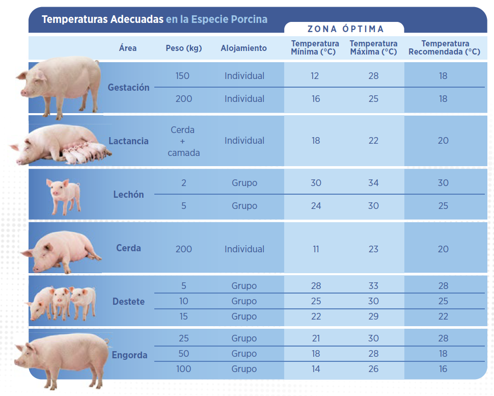 Techos para granjas porcinas: conocé los tipos disponibles, sus ventajas y cómo influyen en el confort animal, la producción y el ROI.