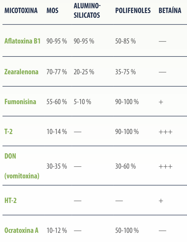 Micotoxinas