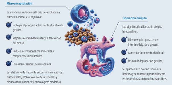 administración