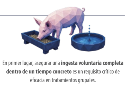 administración