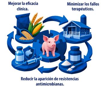 administración vías