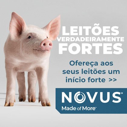 http://NOVUS%20ROBAPAGINA%20_%20SET%20_%20OUT
