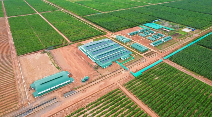 Thaco Agri launches USD146.8M pig farming project in Gia Lai
