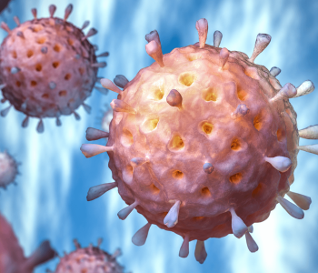 rotavirus - salud intestinal - patógeno
