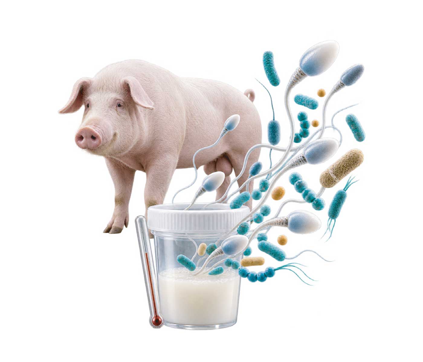 Microbioma seminal: ¿Qué cambia durante la conservación a 17 °C?