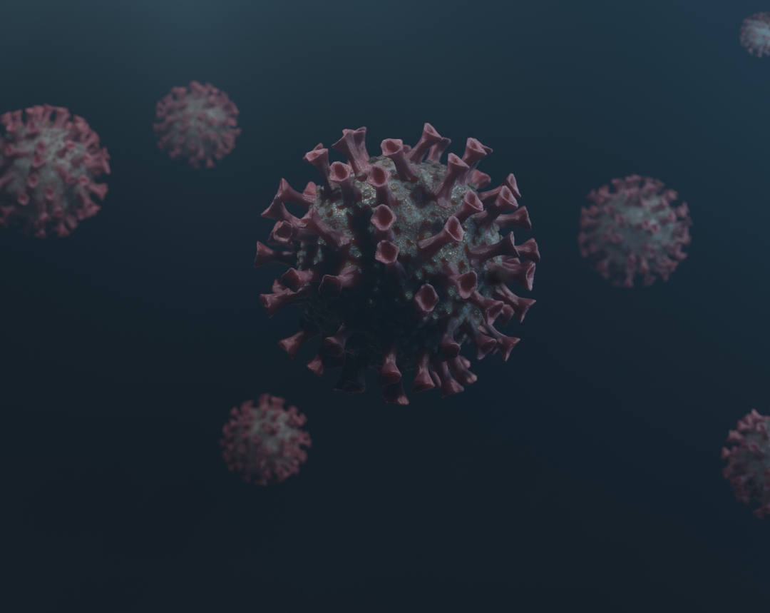 Rotavirus porcino: claves para el diagnóstico y control de las diarreas en lechones