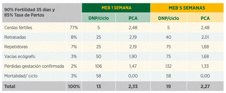 semanas